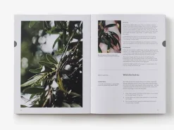 Thames & Hudson Eat Weeds