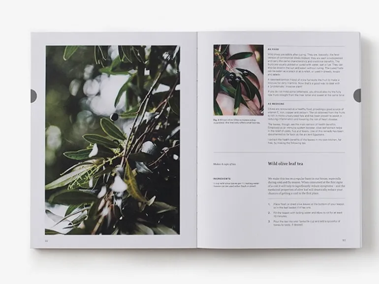 Thames & Hudson Eat Weeds