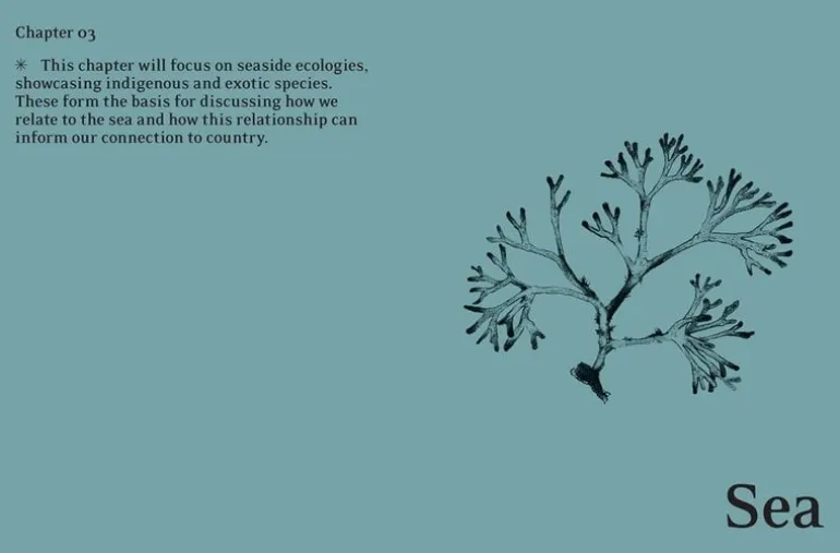 Thames & Hudson Eat Weeds