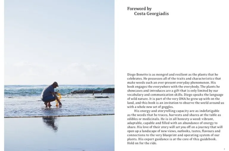 Thames & Hudson Eat Weeds