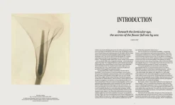 Thames & Hudson Flora Photographica: The Flower in Contemporary Photography