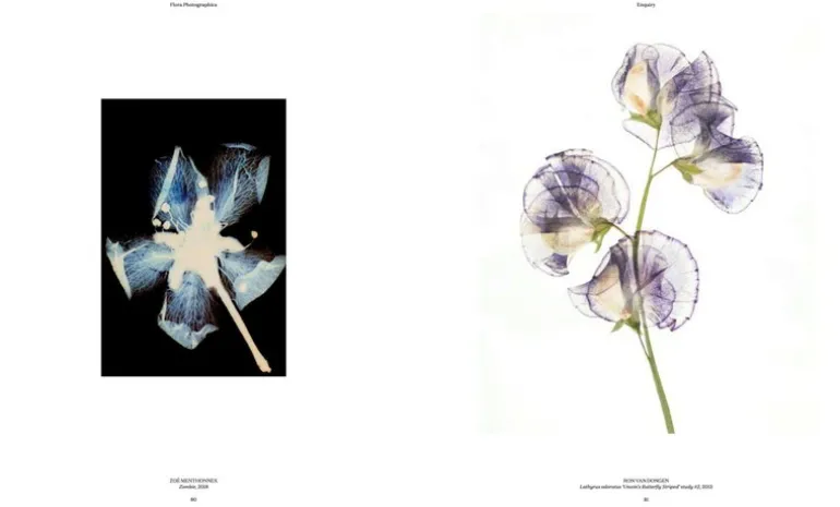 Thames & Hudson Flora Photographica: The Flower in Contemporary Photography