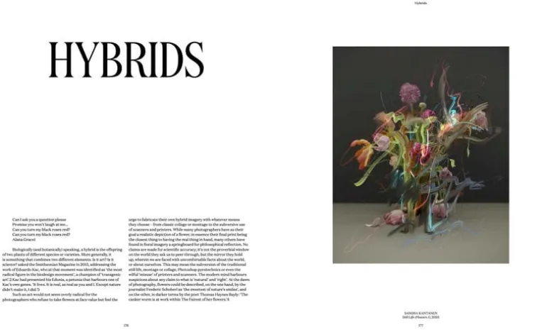 Thames & Hudson Flora Photographica: The Flower in Contemporary Photography