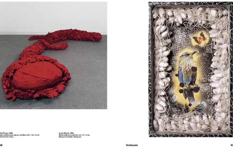 Thames & Hudson Yayoi Kusama: 1945 to Now