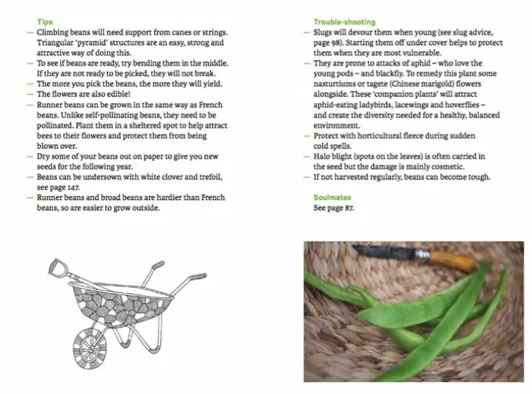 The Do Book Co Do Grow - Start with 10 simple vegetables