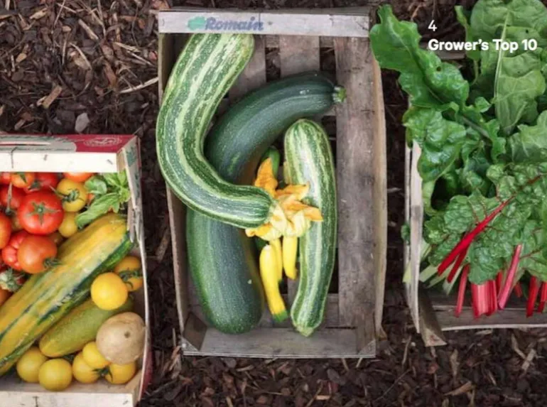 The Do Book Co Do Grow - Start with 10 simple vegetables