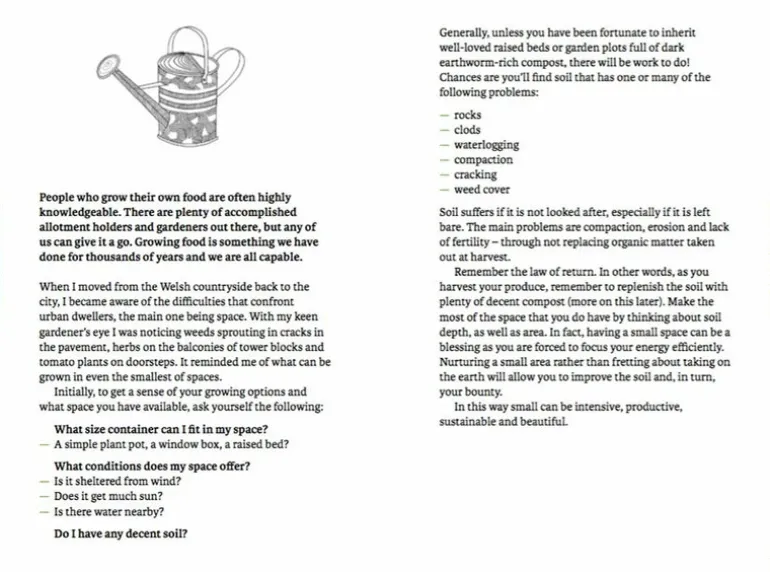 The Do Book Co Do Grow - Start with 10 simple vegetables