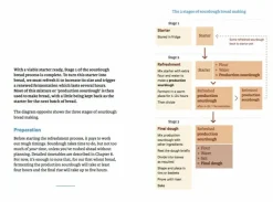 The Do Book Co Do Sourdough - Slow bread for busy lives