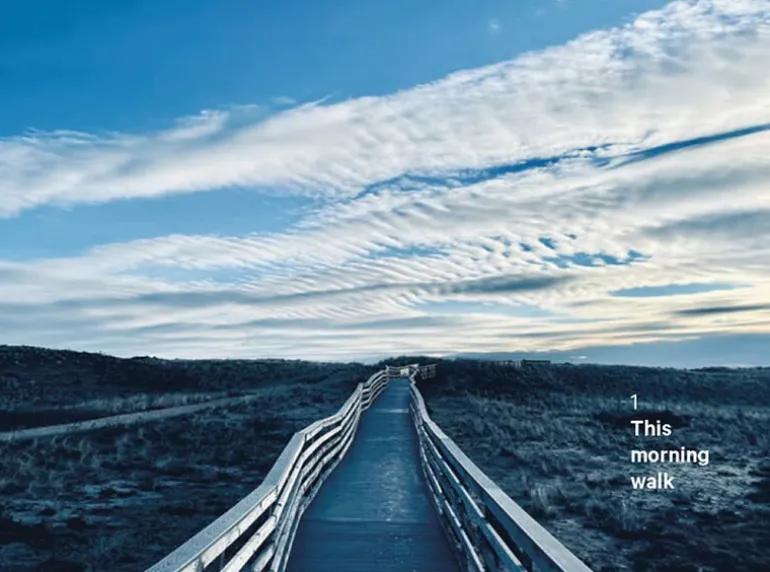 The Do Book Co Do Walk - Navigate earth, mind and body. Step by step