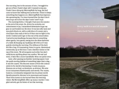 The Do Book Co Do Walk - Navigate earth, mind and body. Step by step