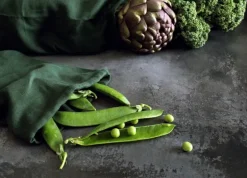 The Organic Company Food Bag, dark green