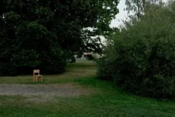 Vaarnii 001 dining chair, pine