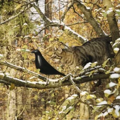 Vitra Eames House Bird, black