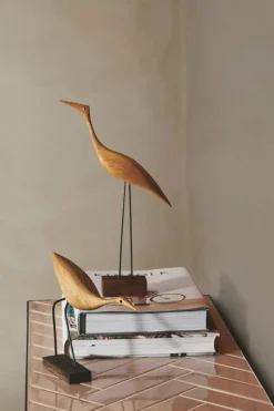 Warm Nordic Beak Bird, Tall Heron, oak